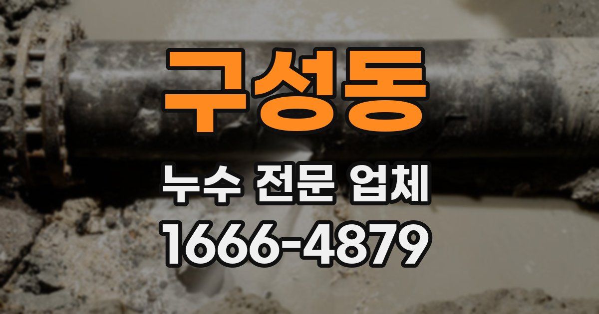 구성동 누수 전문 업체