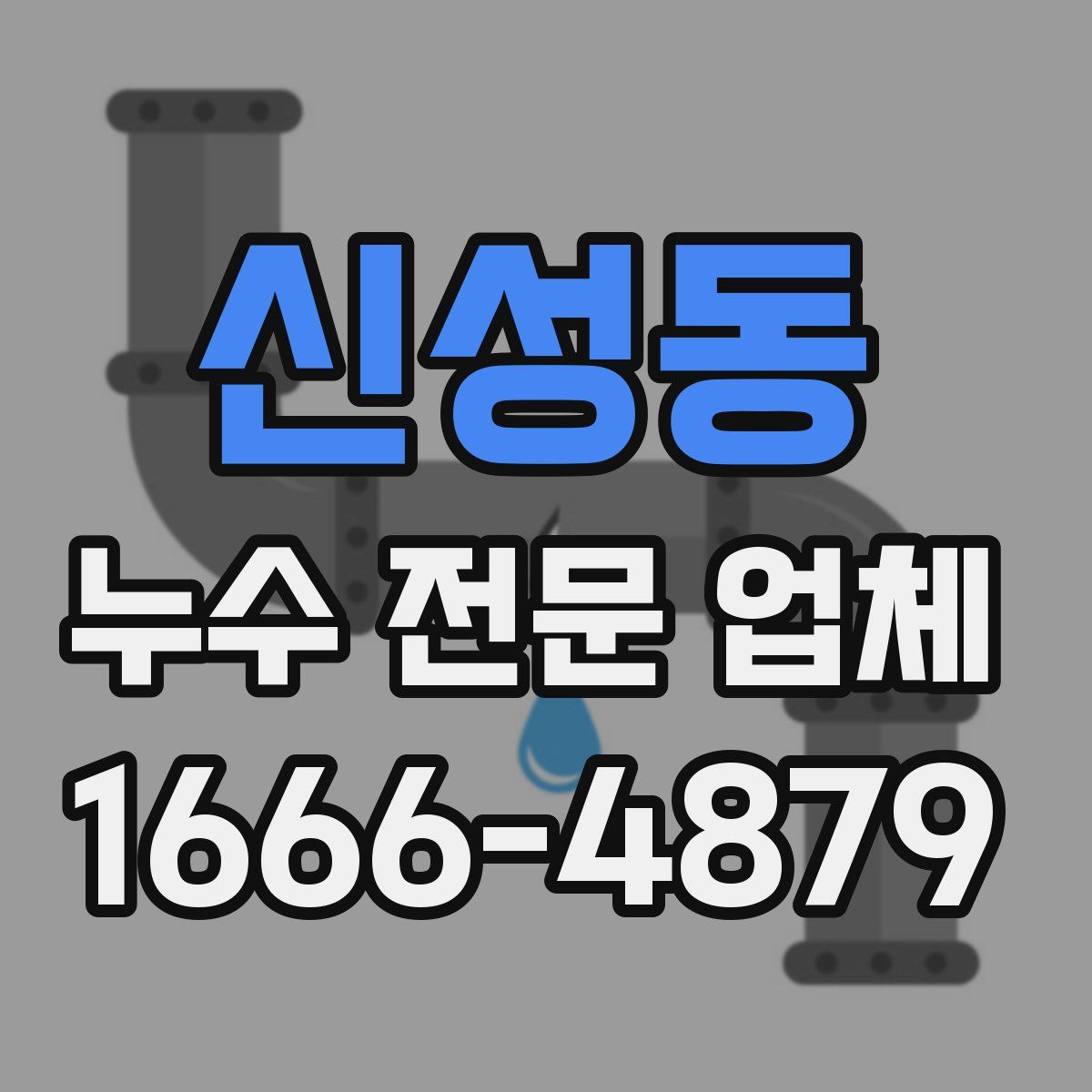 신성동 누수 전문 업체