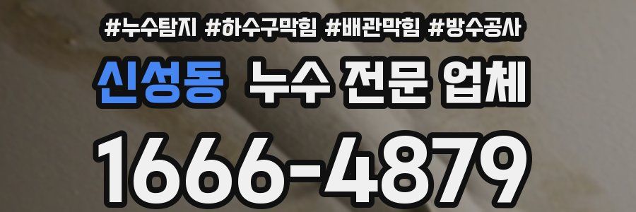 신성동 누수 전문 업체