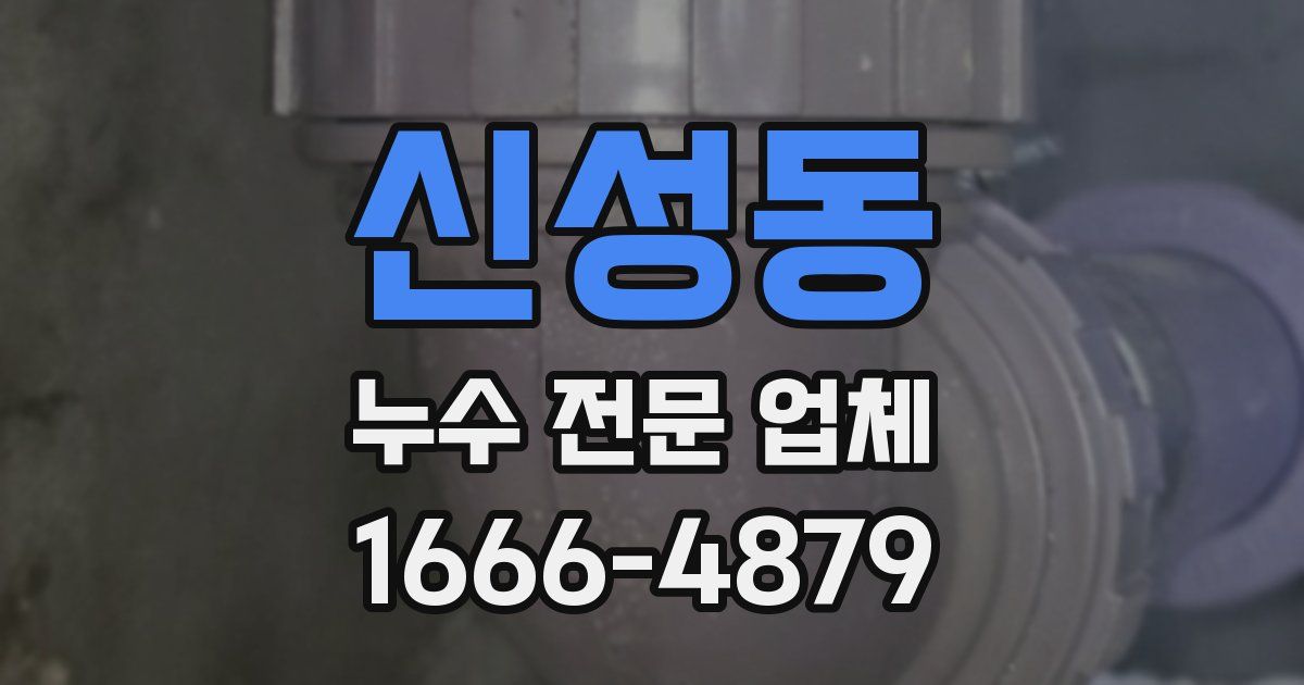 신성동 누수 전문 업체