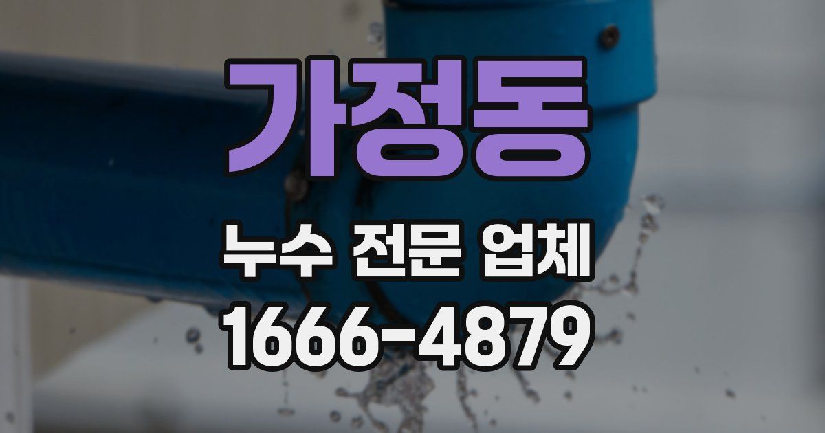 가정동 누수 전문 업체