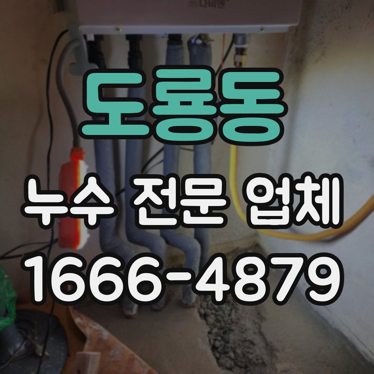 도룡동 누수 전문 업체