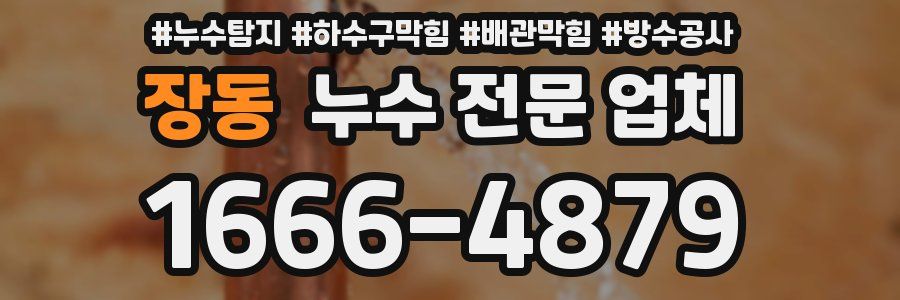 장동 누수 전문 업체
