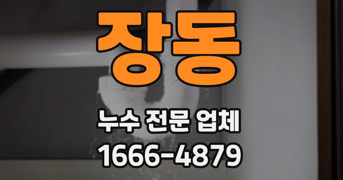 장동 누수 전문 업체