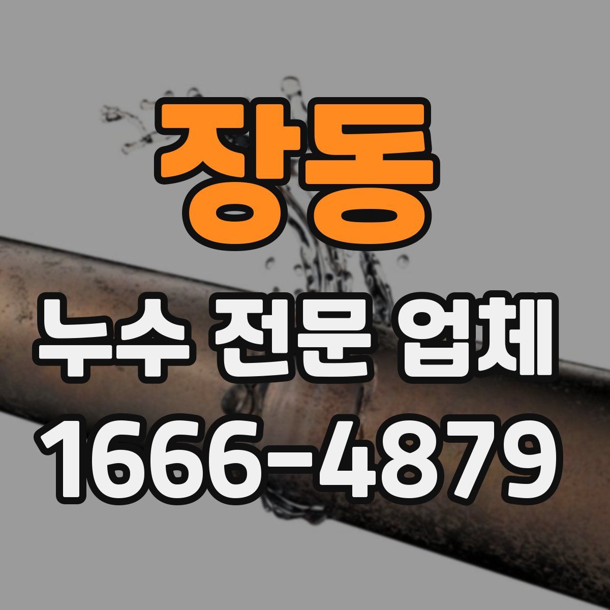장동 누수 전문 업체