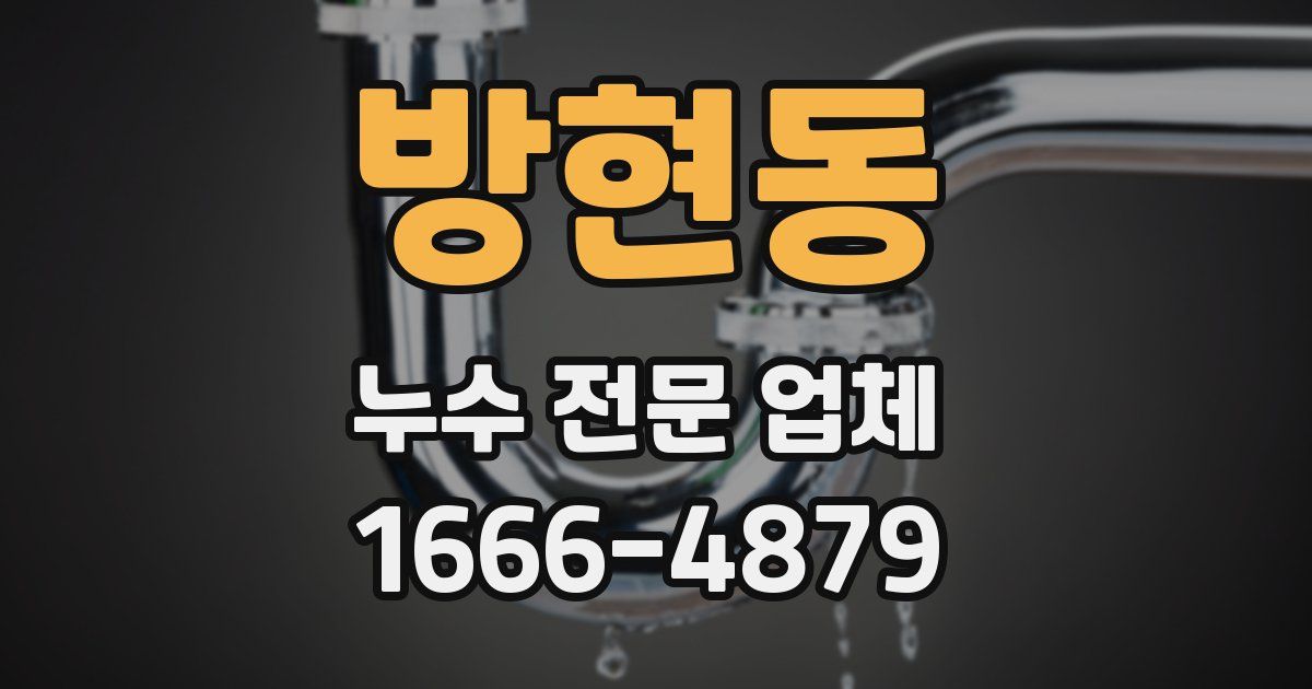 방현동 누수 전문 업체