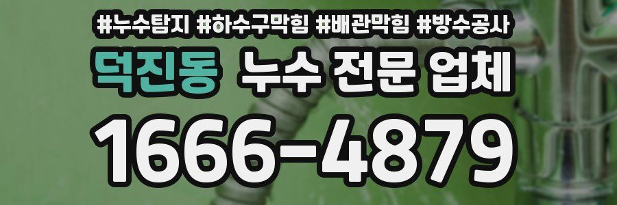 덕진동 누수 전문 업체