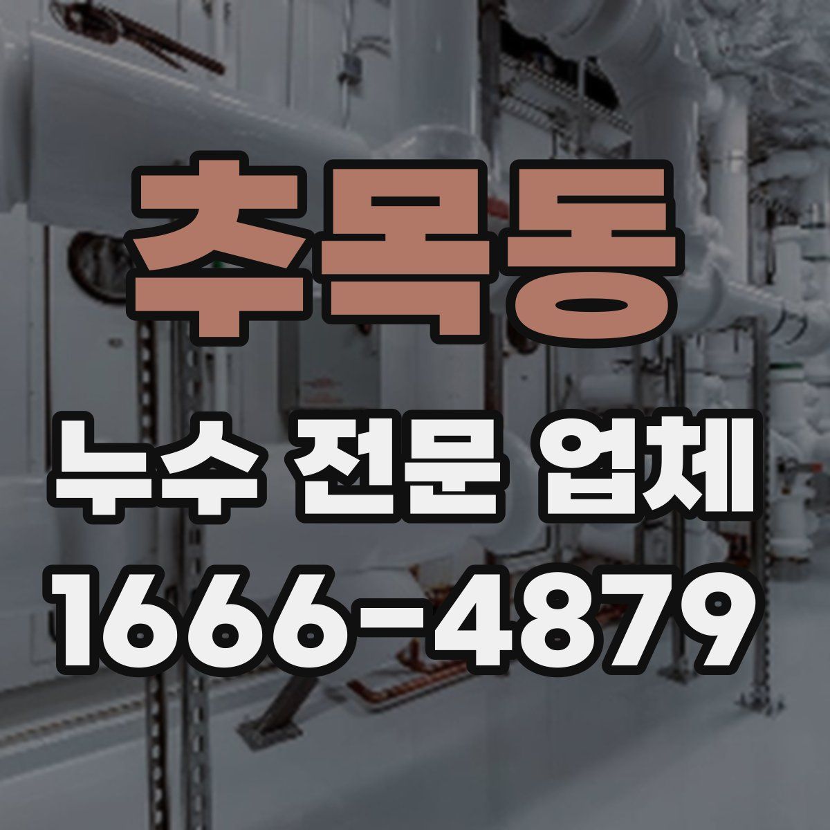 추목동 누수 전문 업체