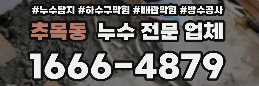 추목동 누수 전문 업체