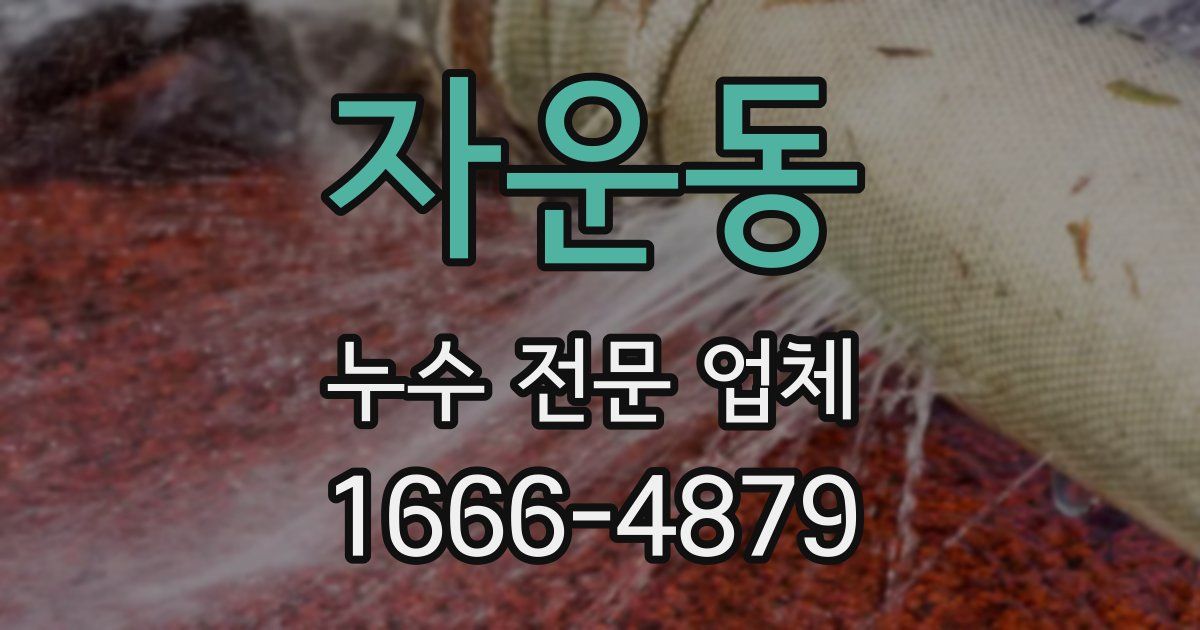 자운동 누수 전문 업체