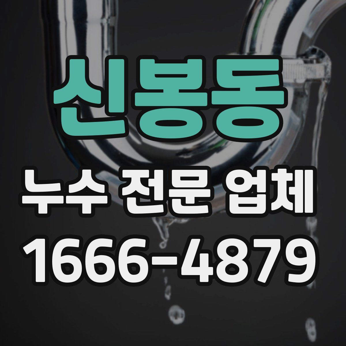 신봉동 누수 전문 업체