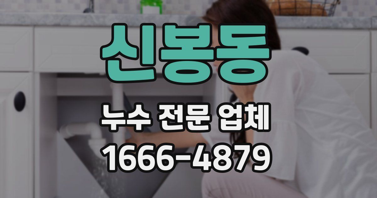 신봉동 누수 전문 업체