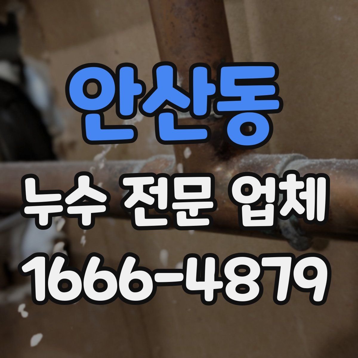 안산동 누수 전문 업체