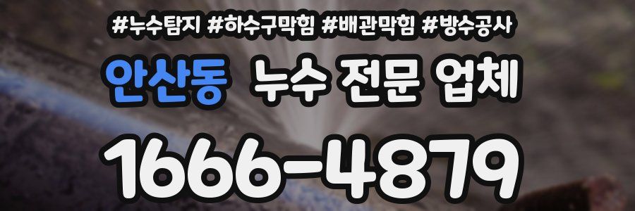 안산동 누수 전문 업체