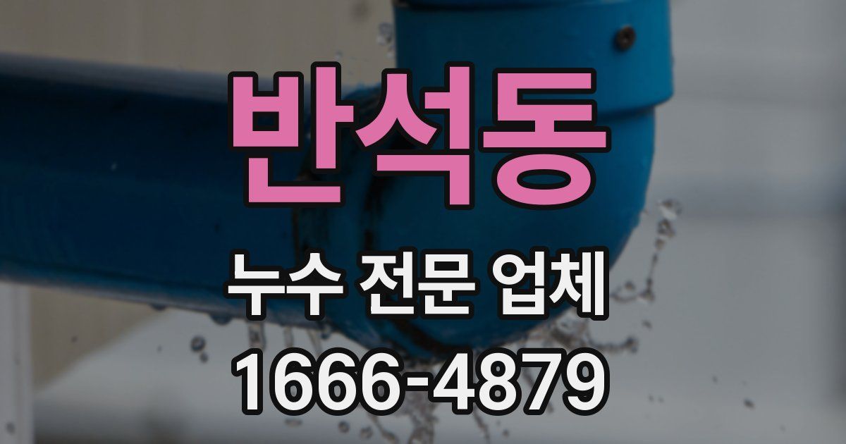 반석동 누수 전문 업체