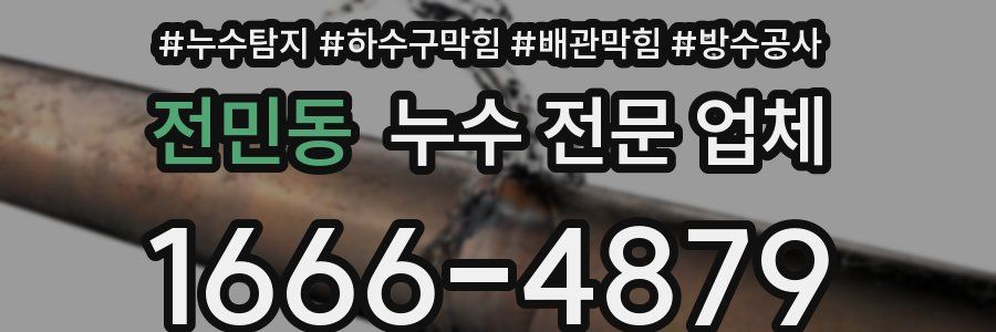 전민동 누수 전문 업체