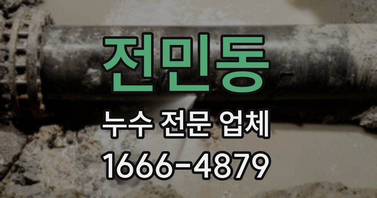 전민동 누수 전문 업체