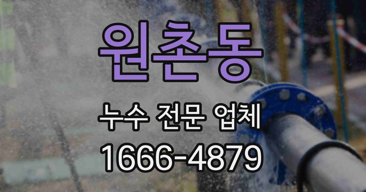 원촌동 누수 전문 업체
