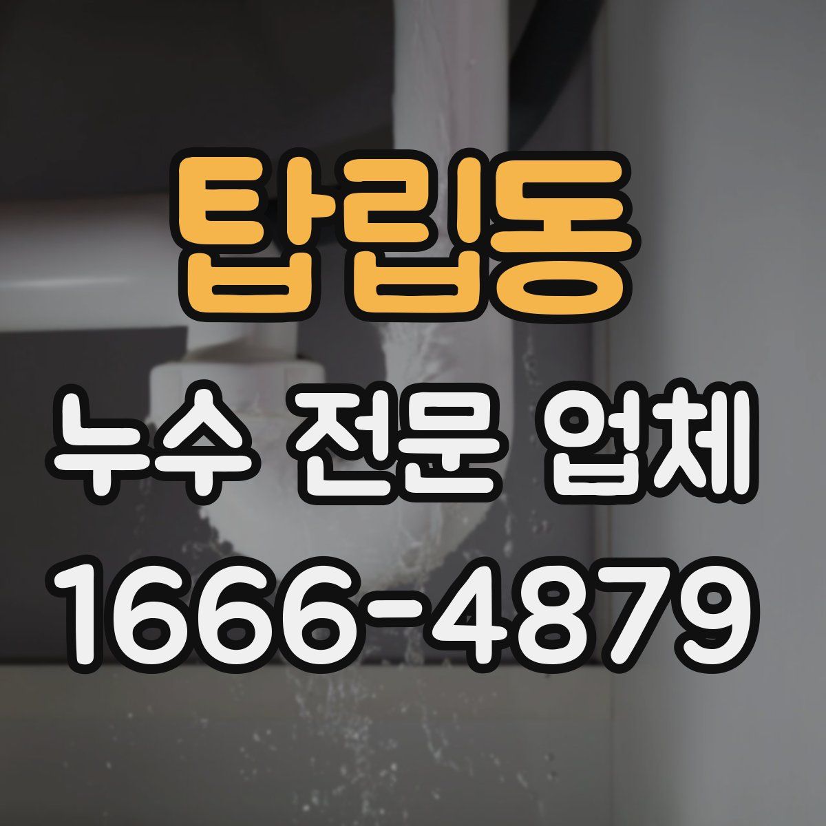 탑립동 누수 전문 업체