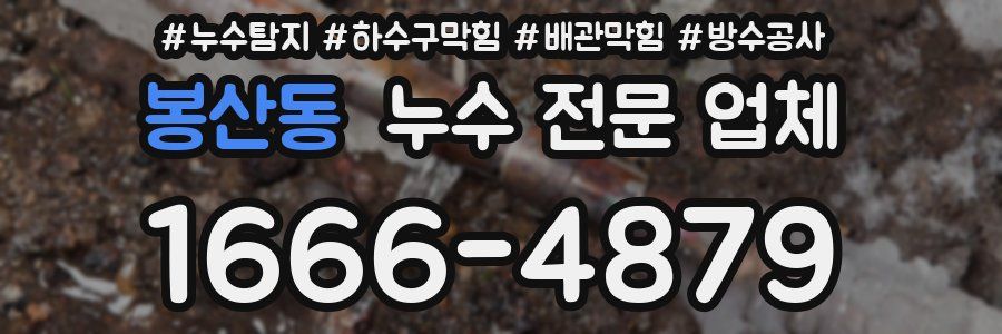 봉산동 누수 전문 업체