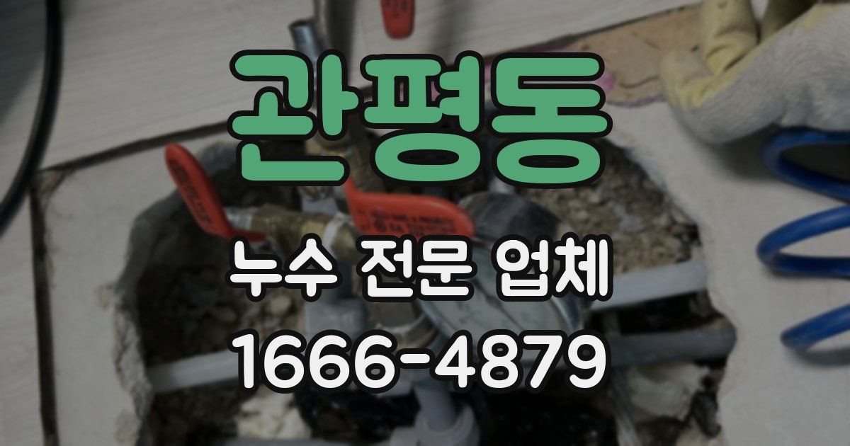 관평동 누수 전문 업체