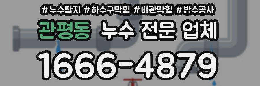 관평동 누수 전문 업체