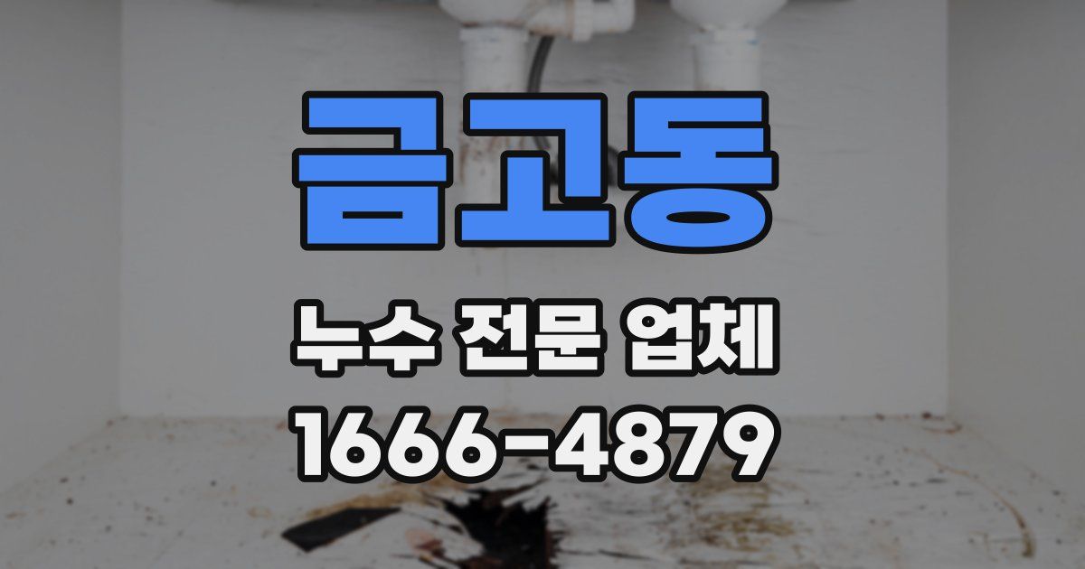 금고동 누수 전문 업체