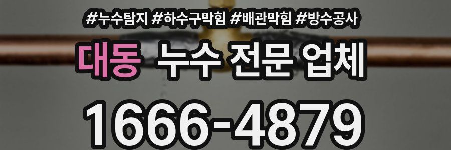 대동 누수 전문 업체