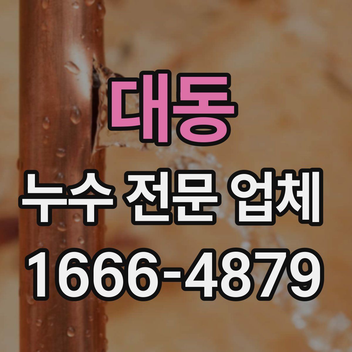 대동 누수 전문 업체