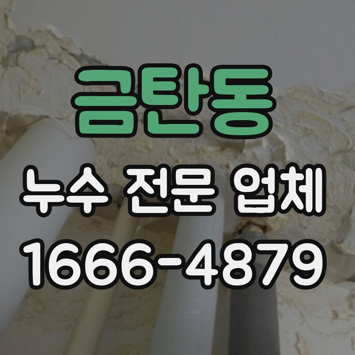 금탄동 누수 전문 업체