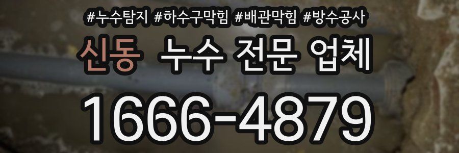 신동 누수 전문 업체