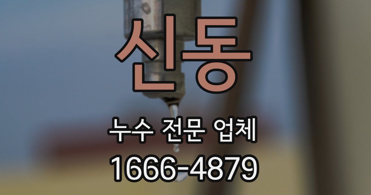 신동 누수 전문 업체