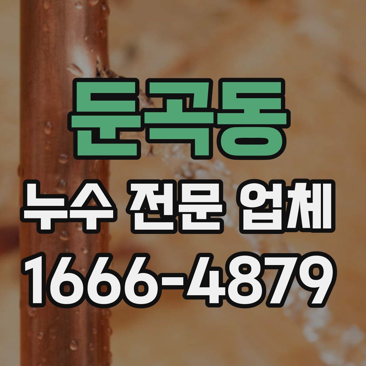 둔곡동 누수 전문 업체