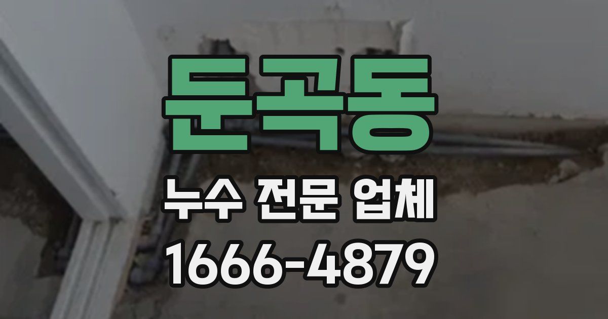 둔곡동 누수 전문 업체