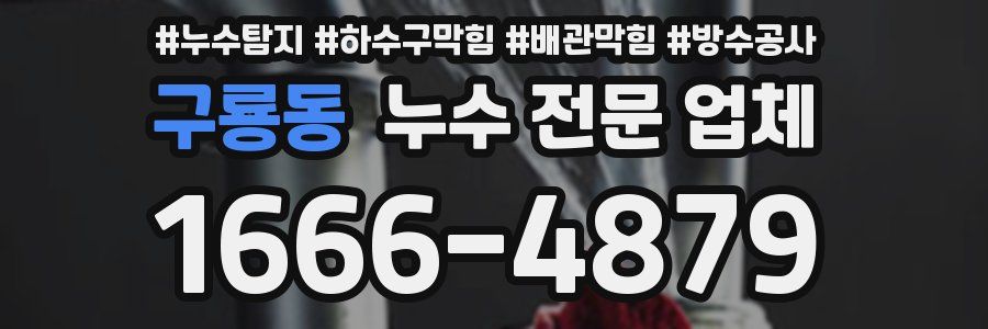 구룡동 누수 전문 업체
