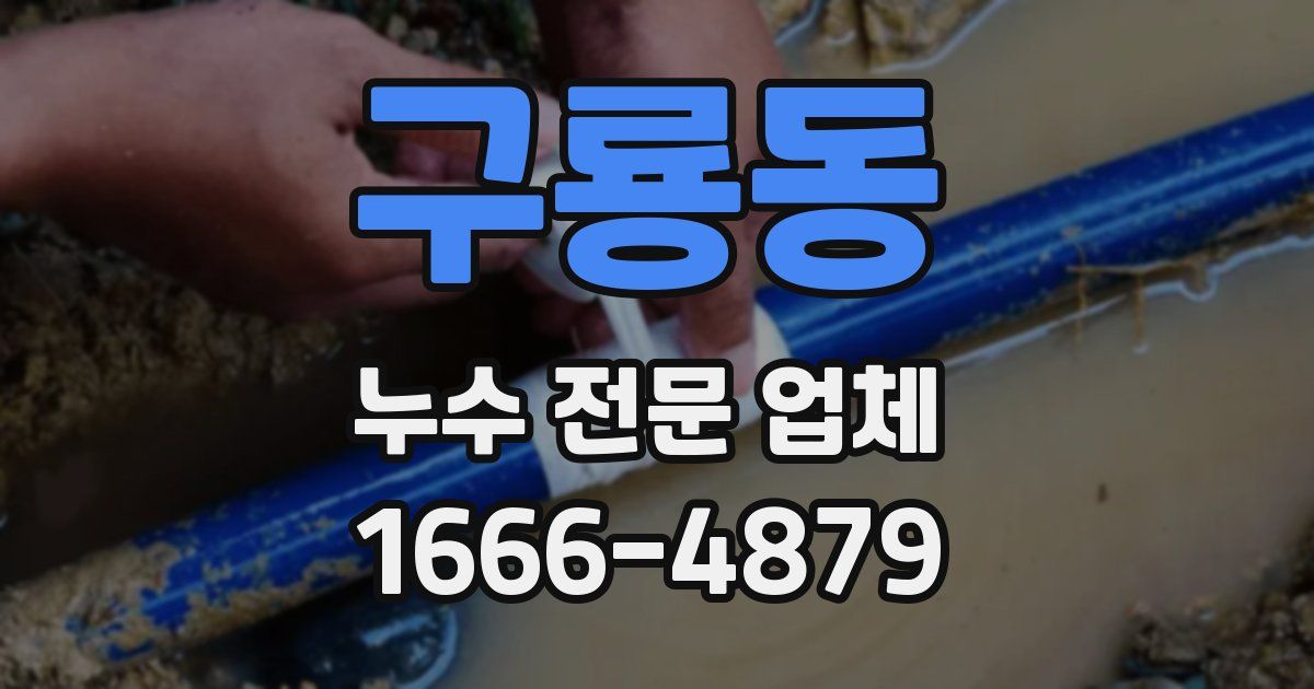 구룡동 누수 전문 업체