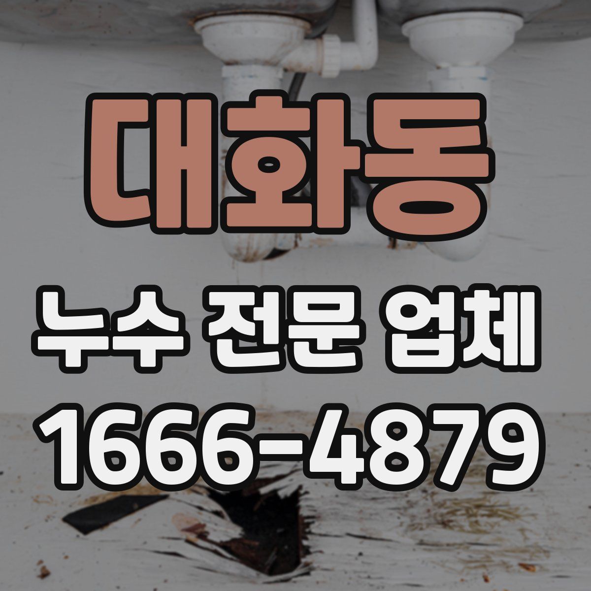 대화동 누수 전문 업체