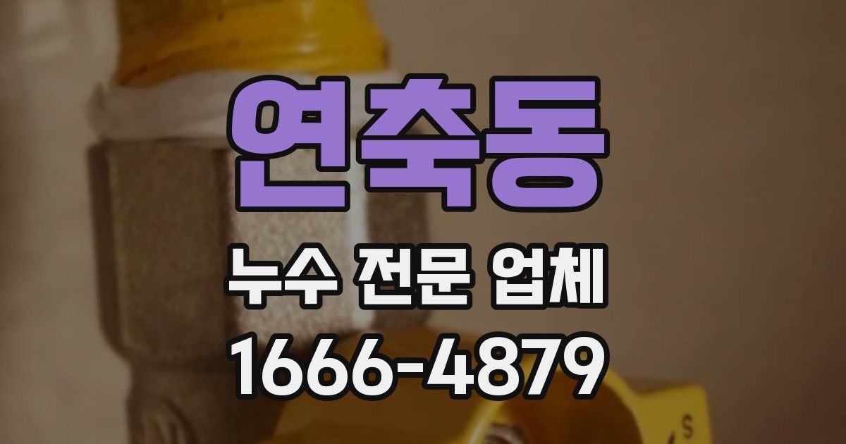연축동 누수 전문 업체