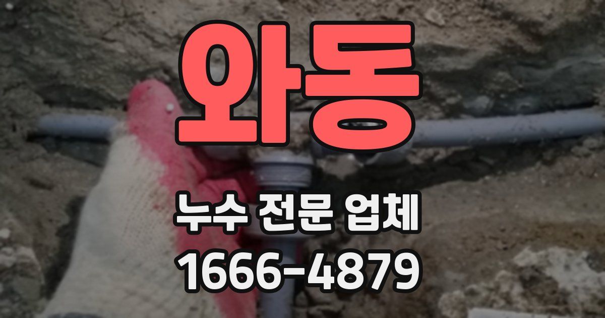 와동 누수 전문 업체