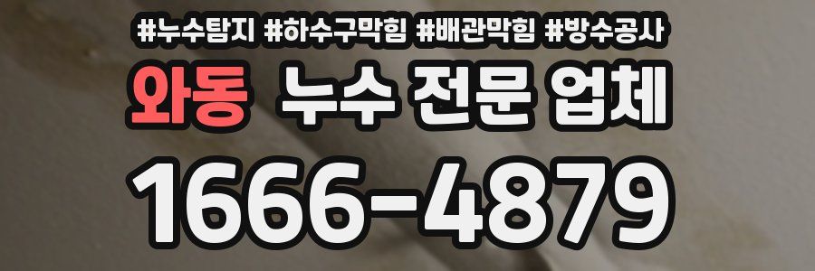 와동 누수 전문 업체
