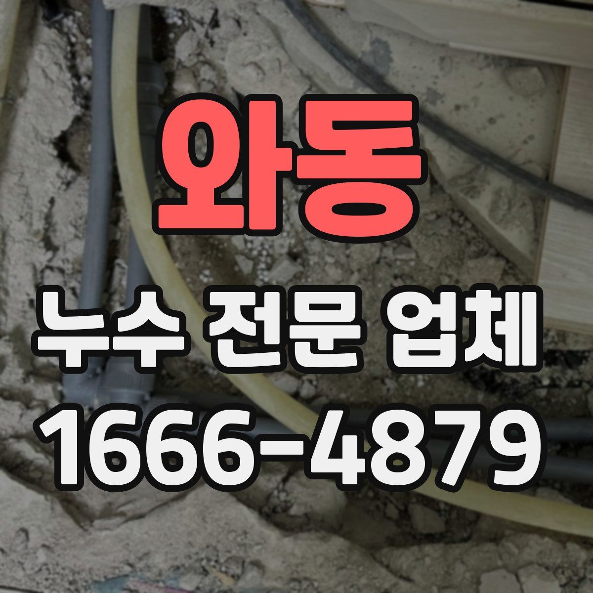 와동 누수 전문 업체