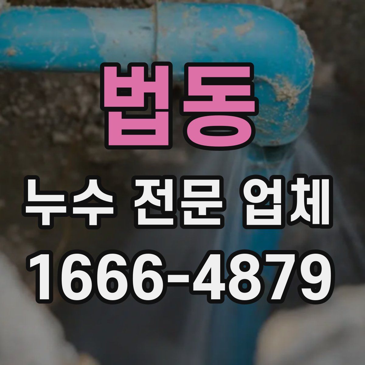 법동 누수 전문 업체