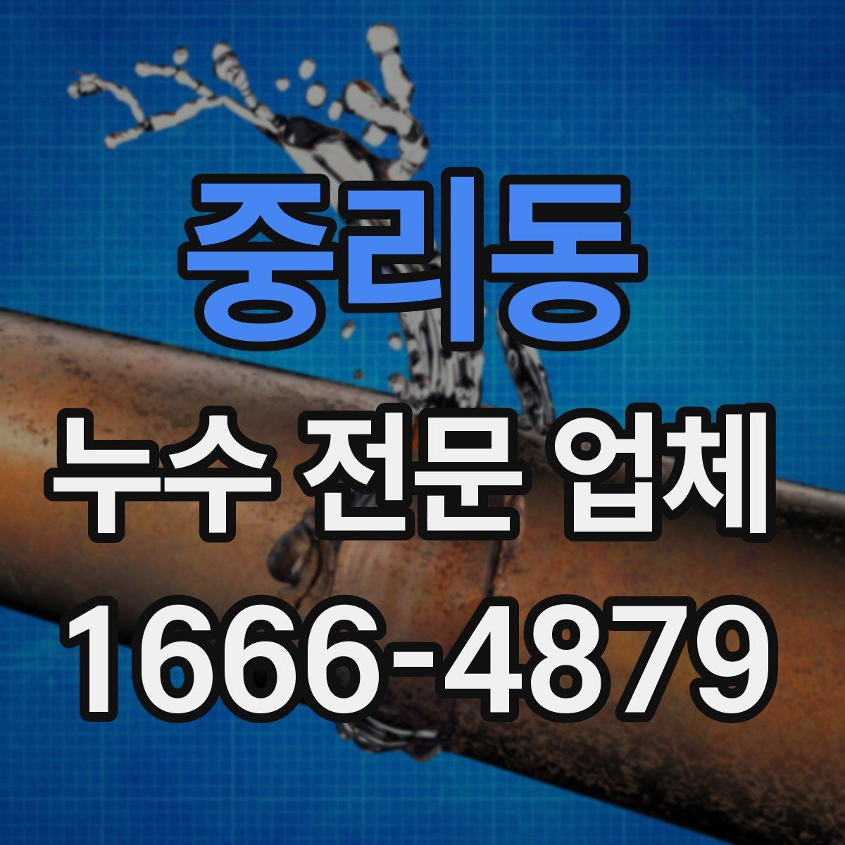 중리동 누수 전문 업체
