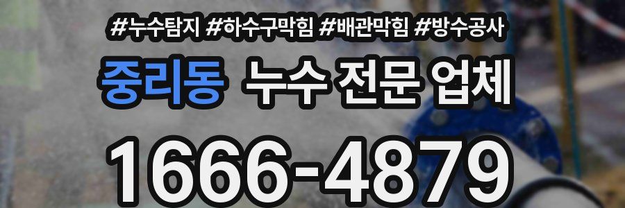 중리동 누수 전문 업체