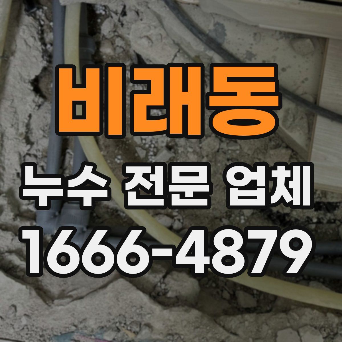비래동 누수 전문 업체