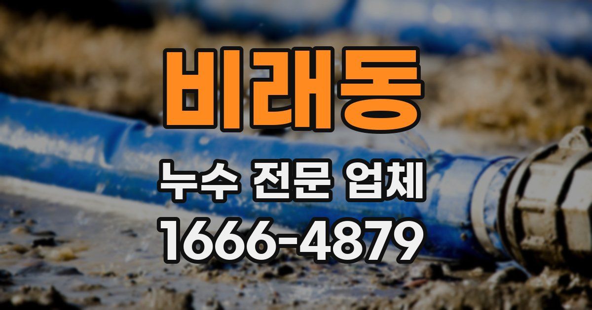 비래동 누수 전문 업체