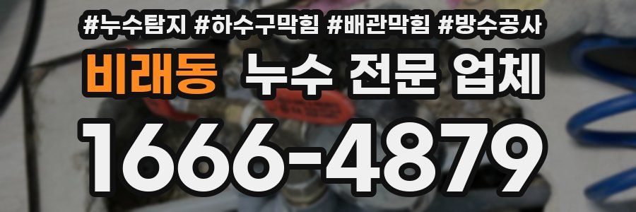 비래동 누수 전문 업체