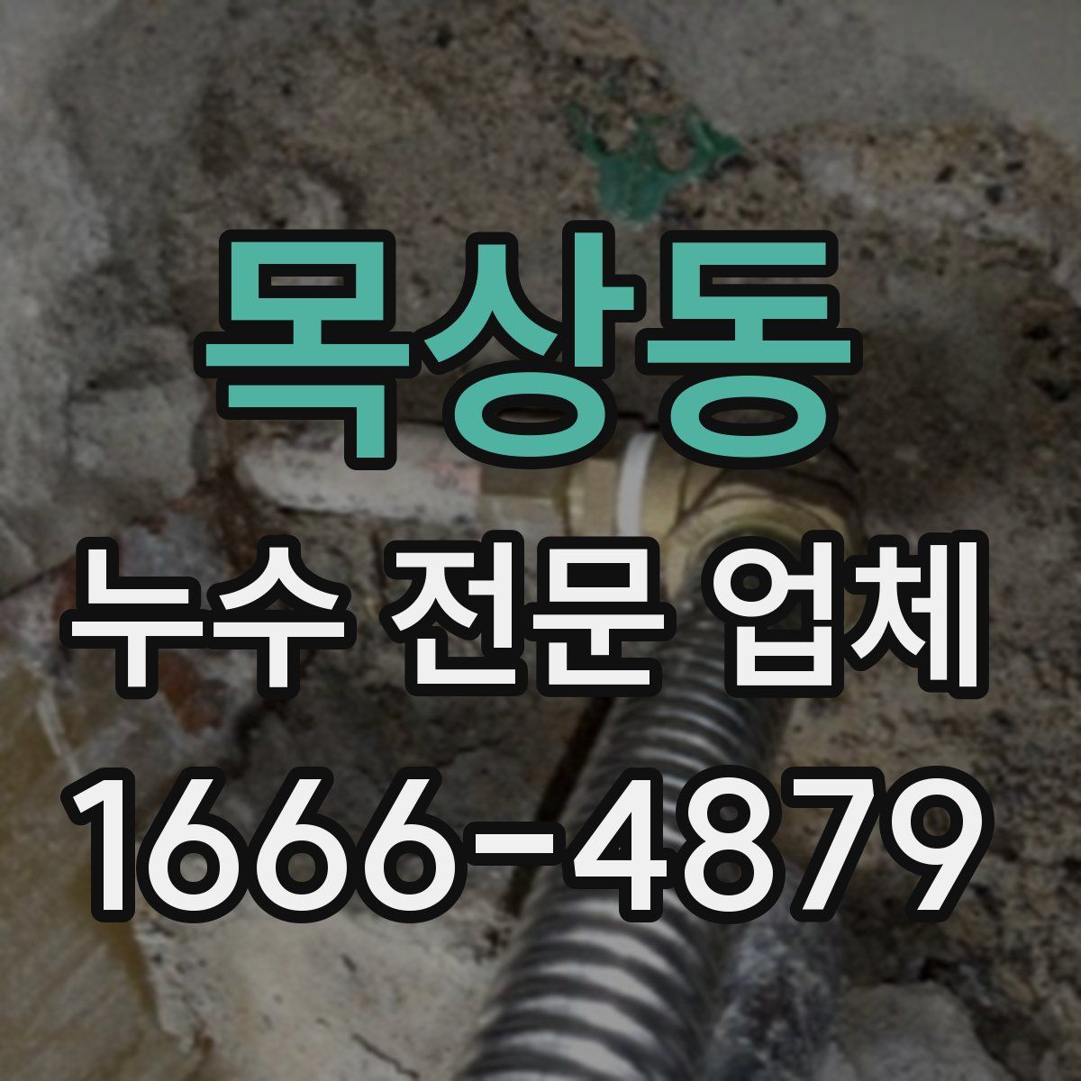 목상동 누수 전문 업체