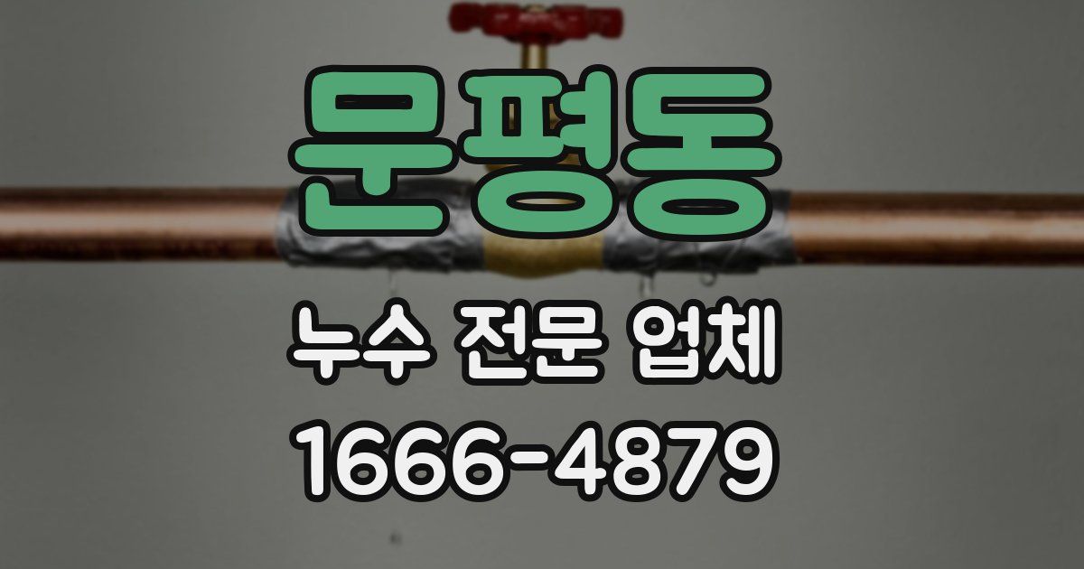 문평동 누수 전문 업체