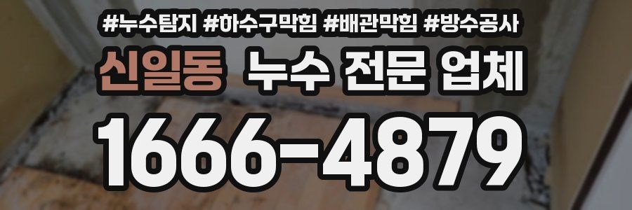 신일동 누수 전문 업체